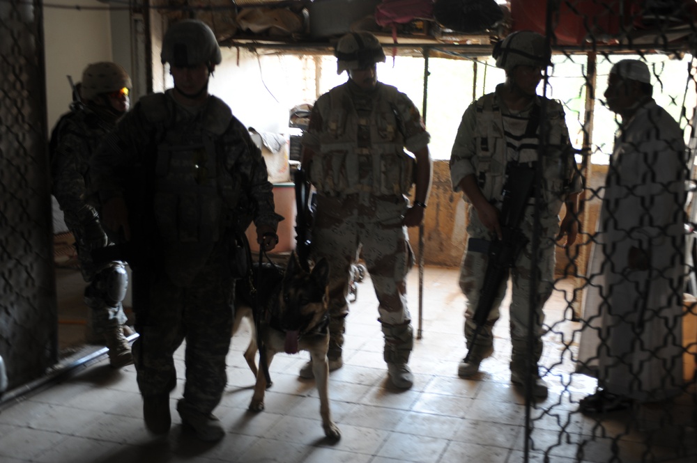 Joint patrol Iraqi army and U.S Army in Abu Ghraib Iraq