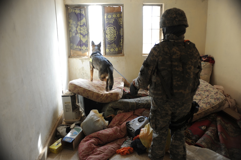 Joint patrol Iraqi army and U.S Army in Abu Ghraib Iraq