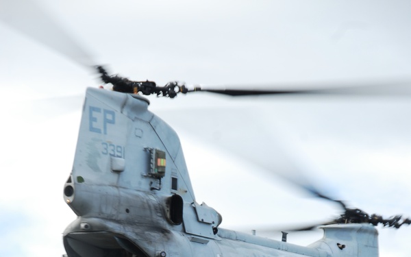 Philippine Recon Marines utilize U.S. Marine Helicopter, helicopter rope suspension training instructors to perfect rappelling techniques