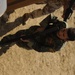 Iraqi scout platoon training