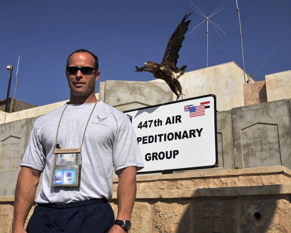 Distinguished Visitor