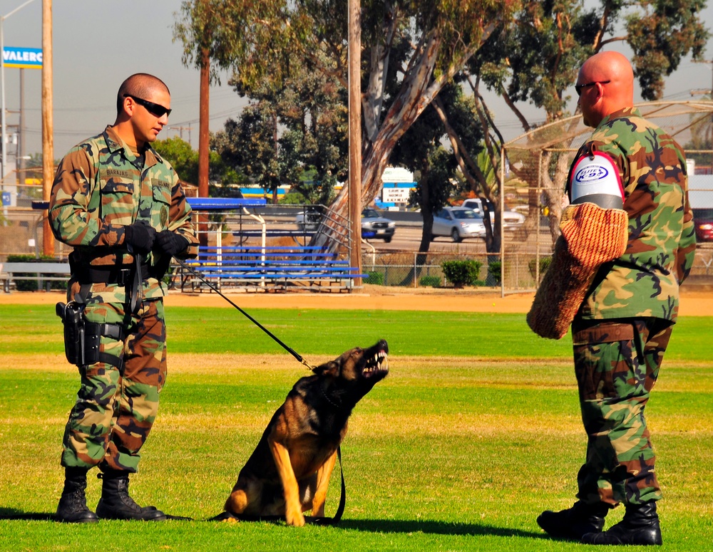 controlled aggression training at Naval Base San Diego