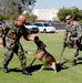 controlled aggression training at Naval Base San Diego