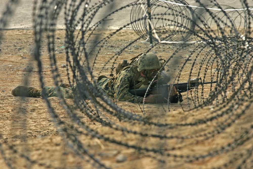 Korean Incremental Training Program 2009
