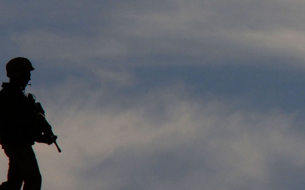 French Operational Mentor and Liaison Team