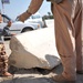 USAF Walking patrol in Al Bayaa