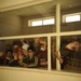 School for the deaf and mute in Mosul