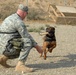 Military Working Dogs Impact Security at Kirkuk