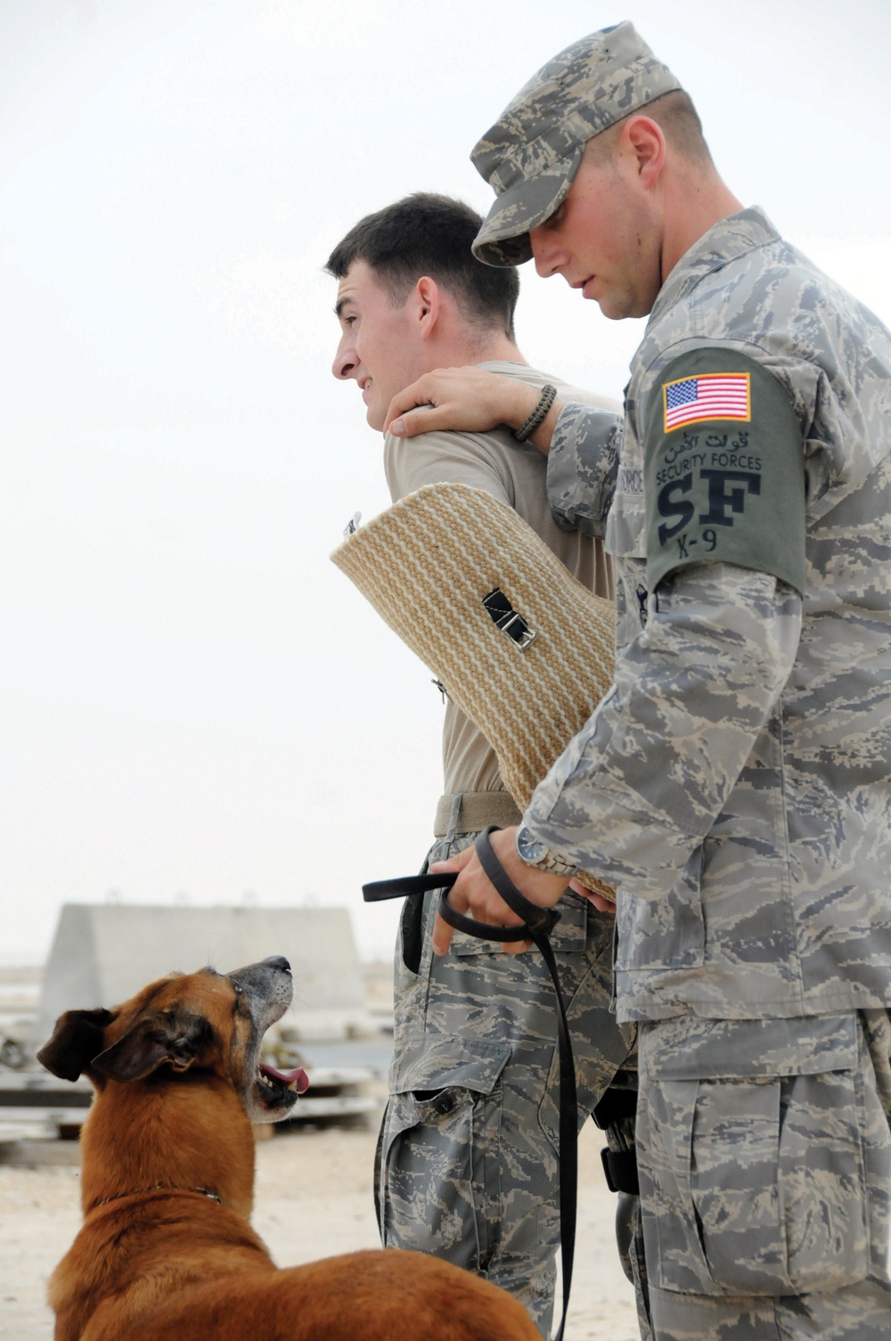 379th Expeditionary Security Forces Squadron Man-canine Duos Safeguard Lives