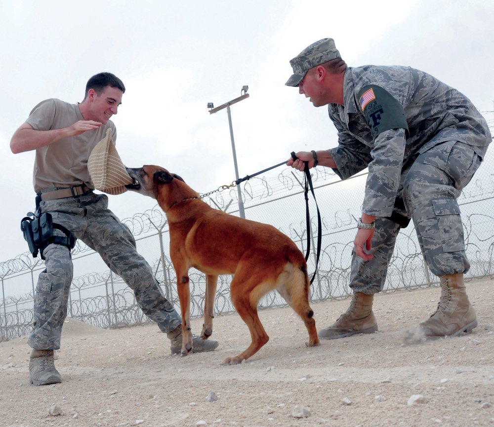 379th Expeditionary Security Forces Squadron Man-canine Duos Safeguard Lives