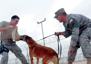 379th Expeditionary Security Forces Squadron Man-canine Duos Safeguard Lives
