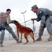 379th Expeditionary Security Forces Squadron Man-canine Duos Safeguard Lives