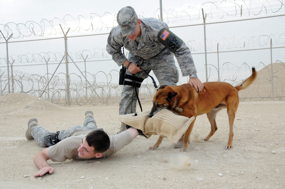 379th Expeditionary Security Forces Squadron Man-canine Duos Safeguard Lives