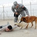 379th Expeditionary Security Forces Squadron Man-canine Duos Safeguard Lives