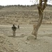 Currahee troops search for weapons