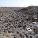 Iraqi army Explosive Ordnance Disposal team clear base of old munitions