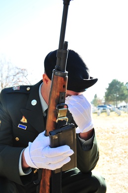 Eight Days in November