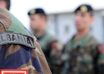 Albanian Independence Day at Camp Arena