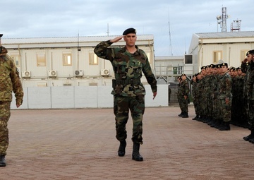 Albanian Independence Day at Camp Arena