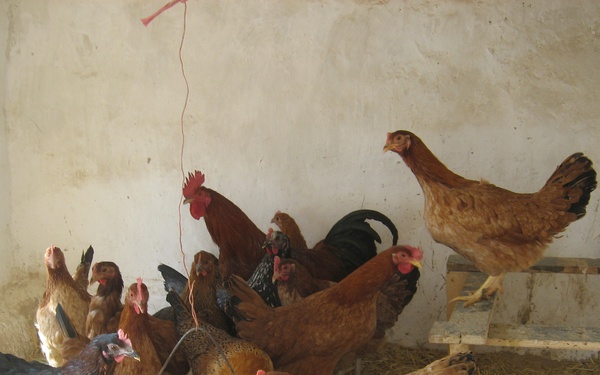 Women's project succeeding in Panjshir Valley