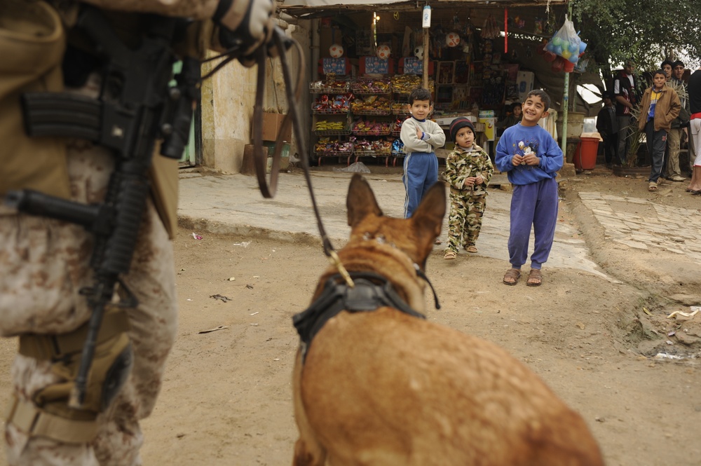 Cordon and knock operations in Afak, Iraq