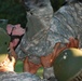 National Guard officer candidates overcome obstacles