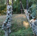 National Guard officer candidates overcome obstacles