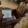 Tomb of Jonah complete again