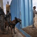 Raider Dog Team conducts combined patrol with Soldiers, National Polices