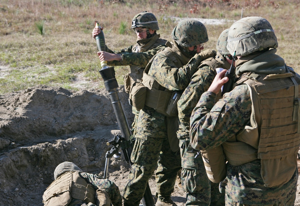 Battalion Landing Team 3/2 Conducts Fire Support Coordination Exercise