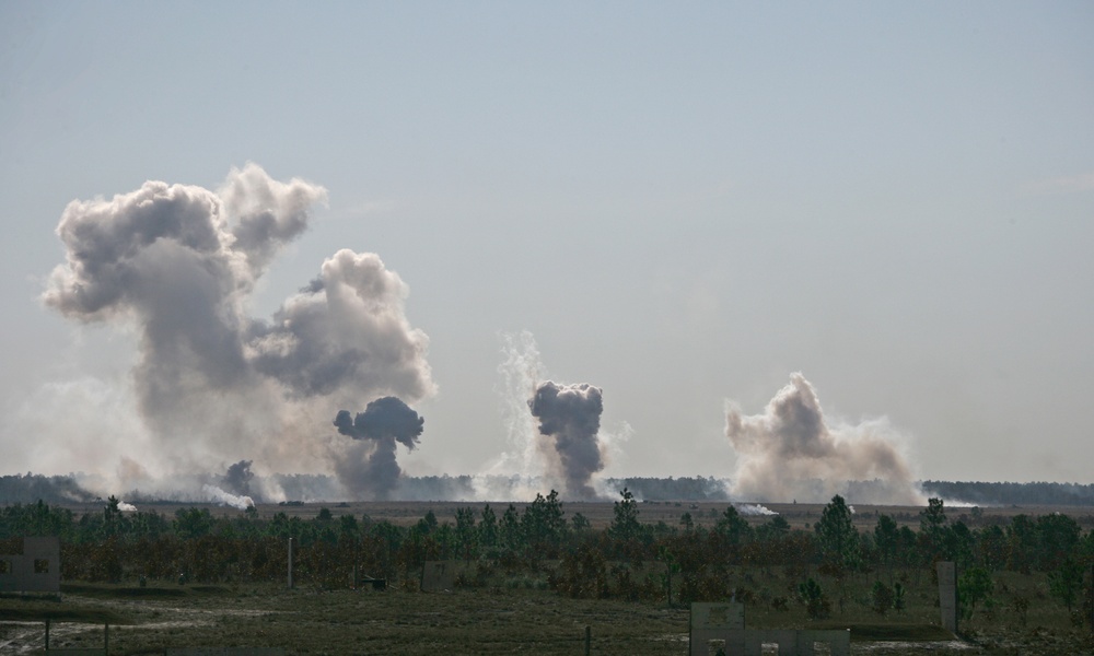 Battalion Landing Team 3/2 Conducts Fire Support Coordination Exercise