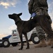 Patrol in Hadar