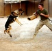 K9s take a bite out of insurgents
