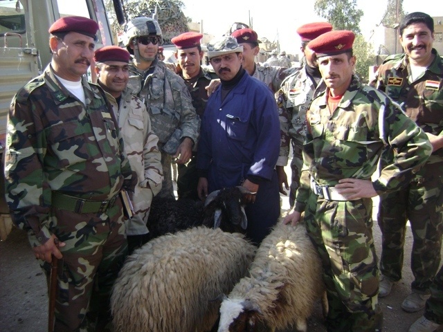 Long Knives deliver sheep for Iraqi holiday