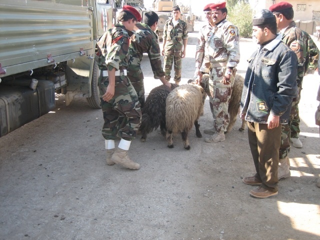 Long Knives deliver sheep for Iraqi holiday
