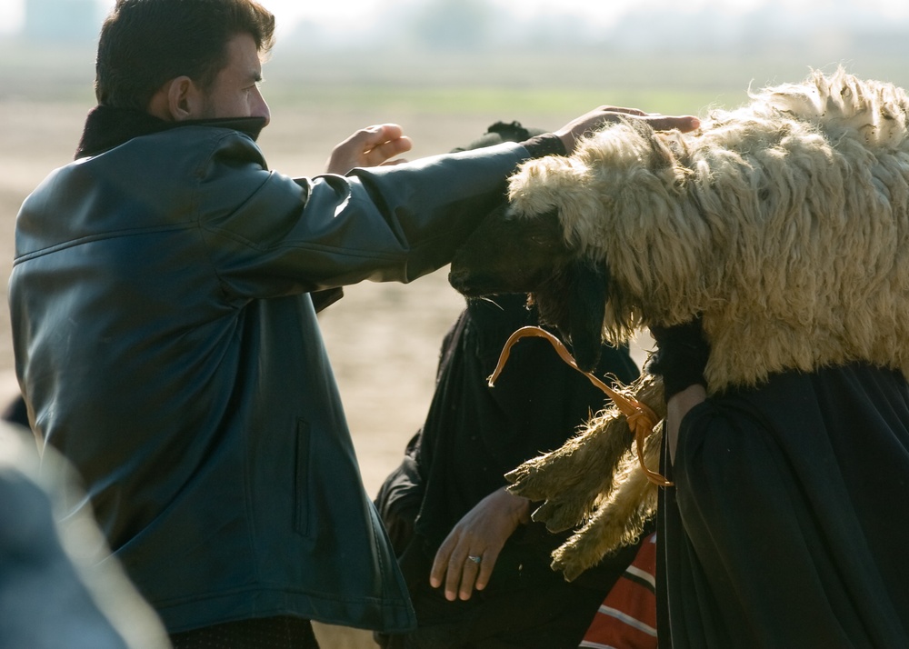 Needy families get mutton in Kut