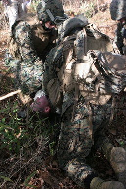 Battalion Landing Team, 3rd Battalion, 2nd Marine Regiment Trains to Recover Pilots, Equipment