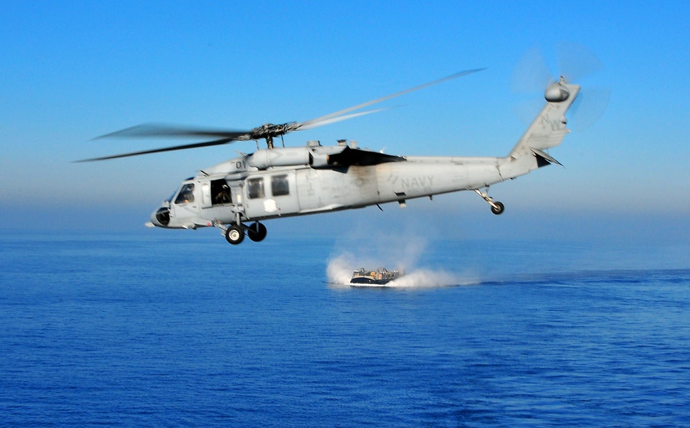 Knighthawk in flight