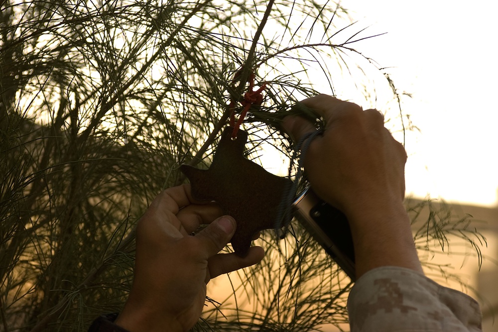 U.S. Marine Toys for Tots