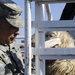 Sheep Hand Out in Al Kut, Iraq