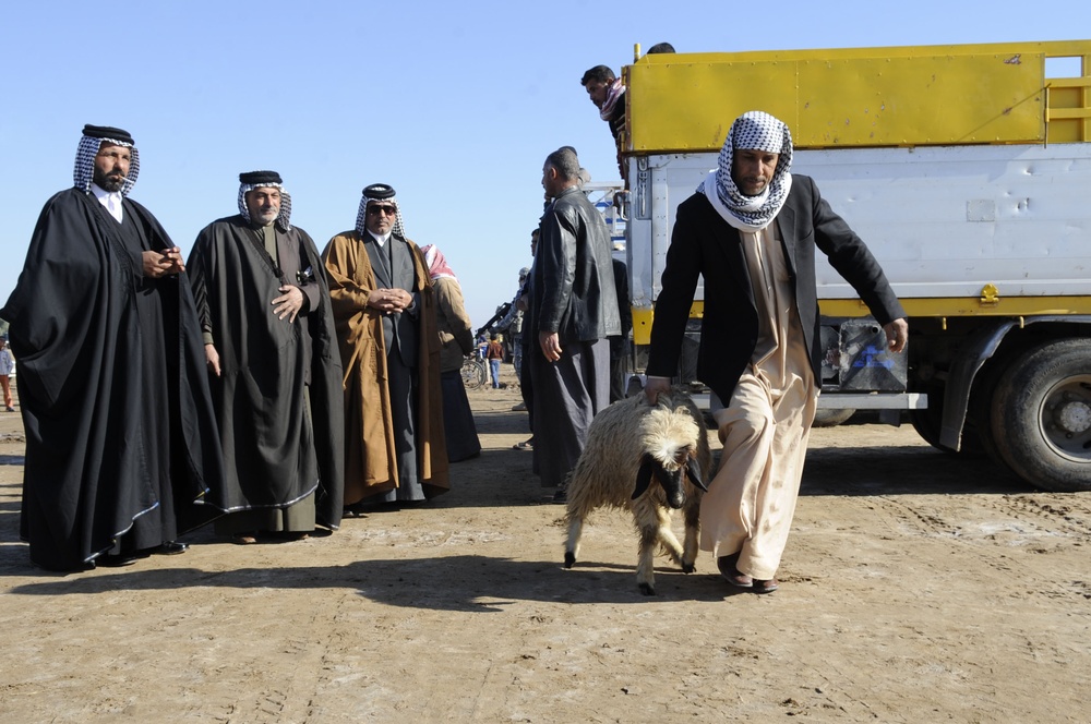 Sheep Hand Out in Al Kut, Iraq