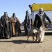 Sheep Hand Out in Al Kut, Iraq