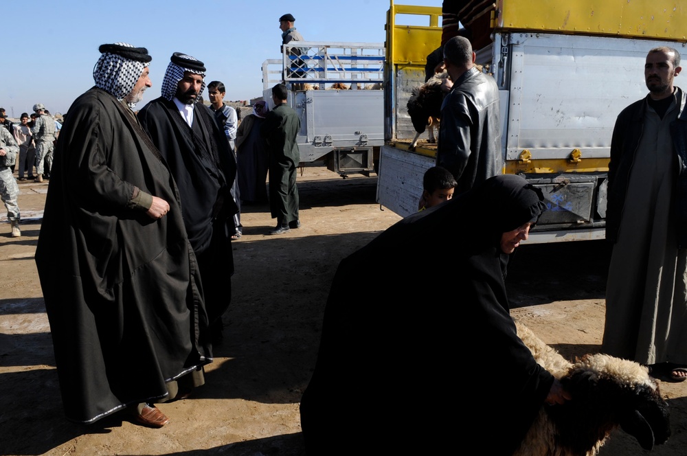 Sheep Hand Out in Al Kut, Iraq