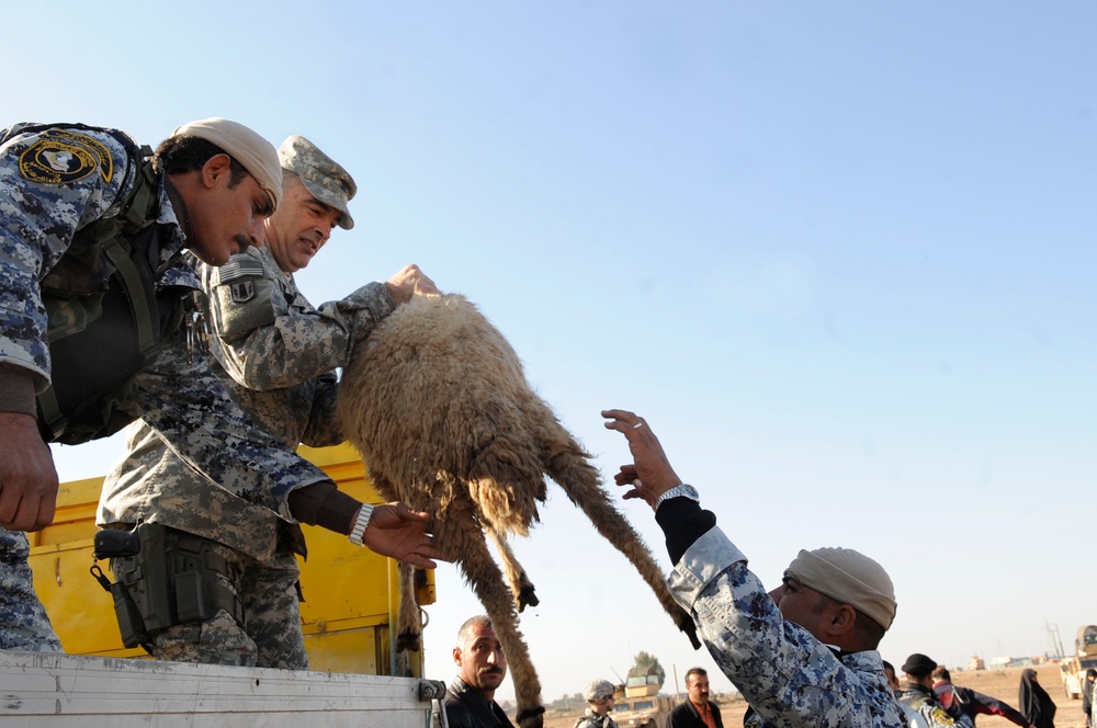 Sheep Hand Out in Al Kut, Iraq