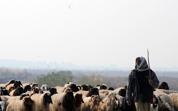 Engineering Project near Sal Ba Bor