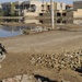 Joint U.S. and Iraqi presence patrol