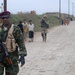 Department of Border Enforcement personnel and American troops ground smuggling operations