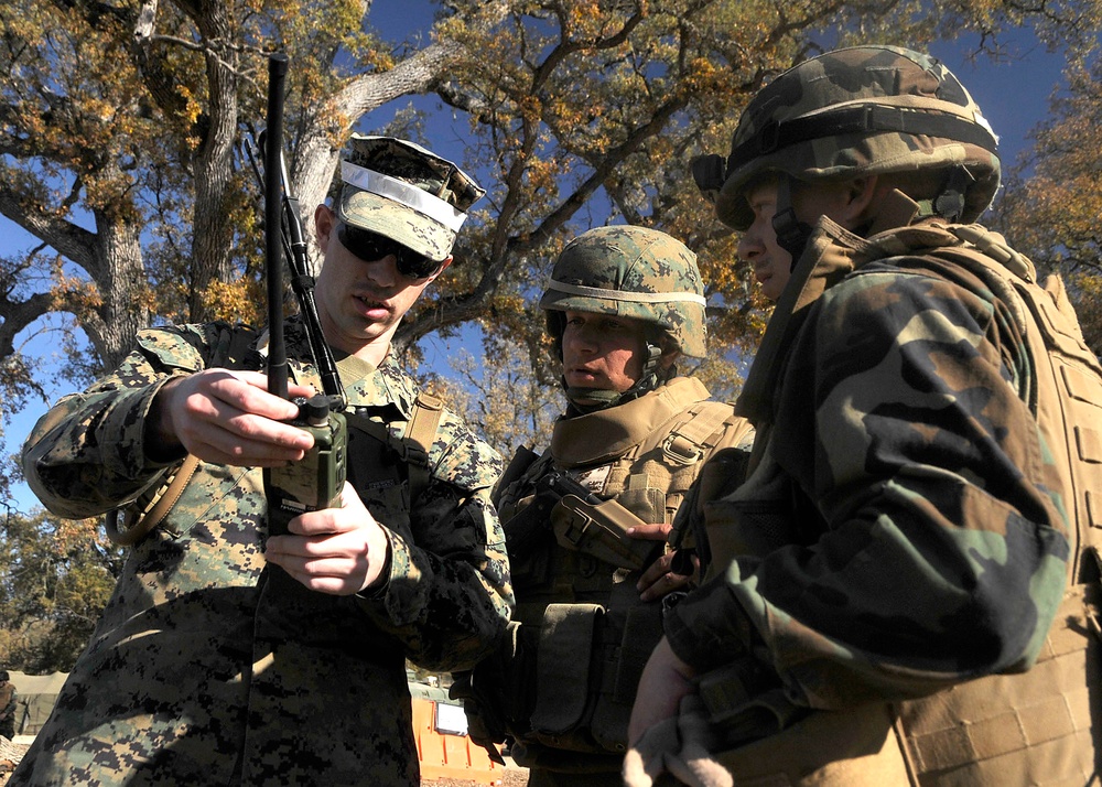 Naval Mobile Construction Battalion 5 at Fort Hunter Liggett