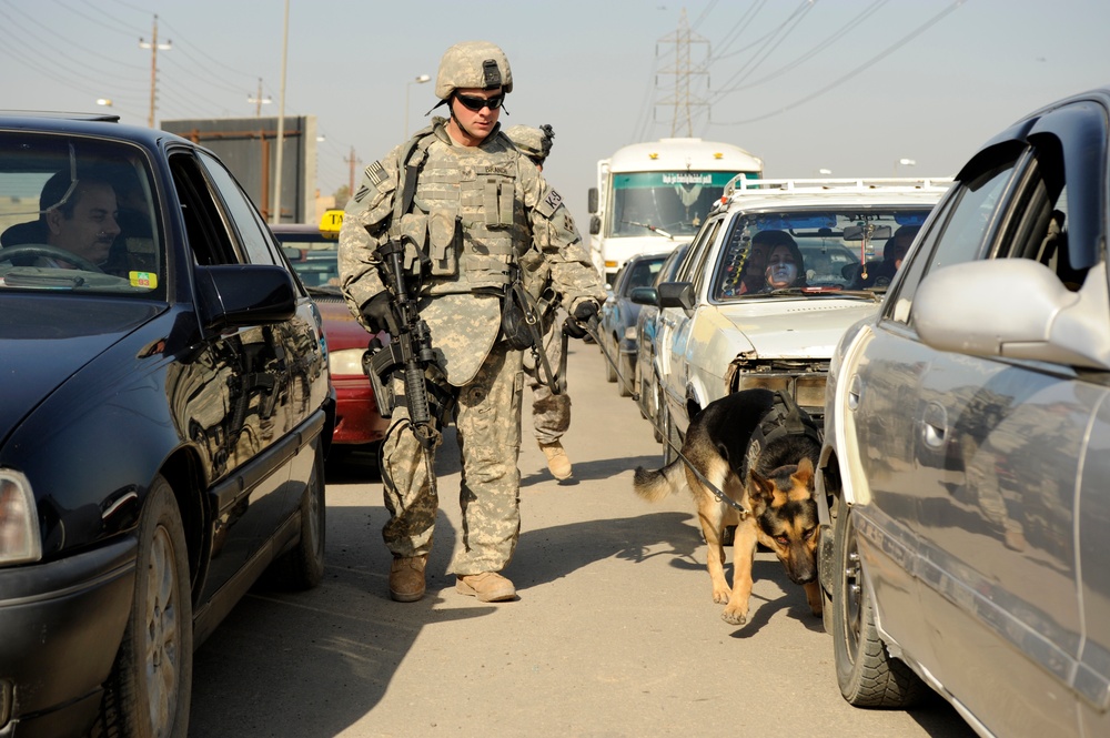 Working dogs in Baghdad