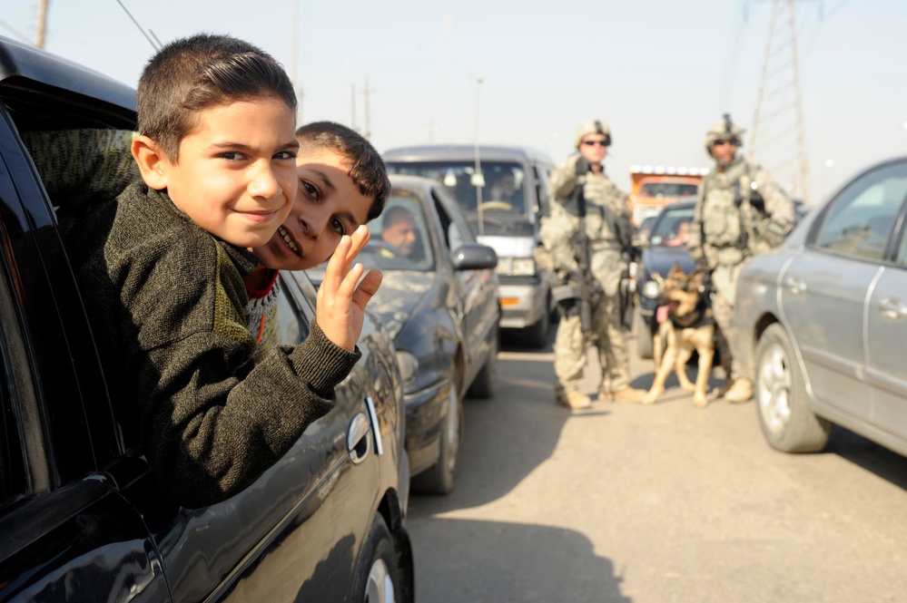 Working Dogs in Baghdad